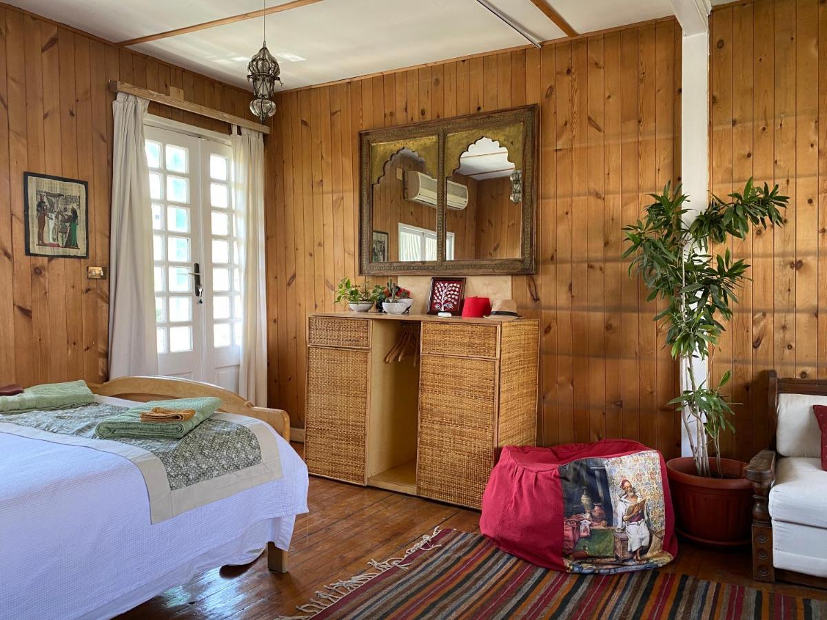 Houseboat65 - Historic Home On The Nile - Central 카이로 외부 사진
