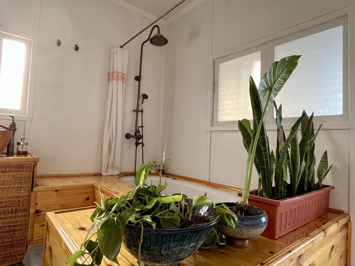Houseboat65 - Historic Home On The Nile - Central 카이로 외부 사진